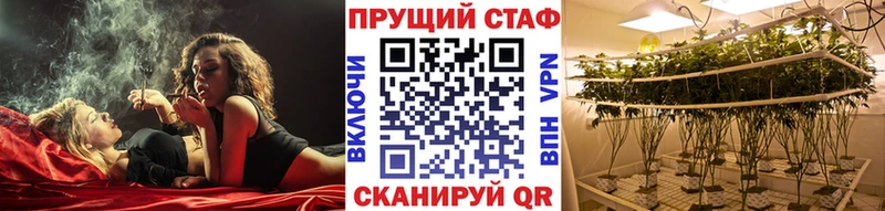 Купить наркотики Шадринск Метадон  Гашиш  Cocaine 
