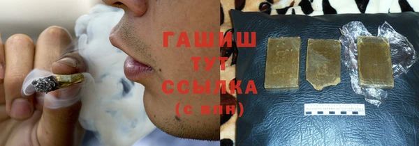 стаф Алзамай