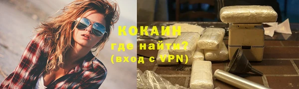 стаф Алзамай