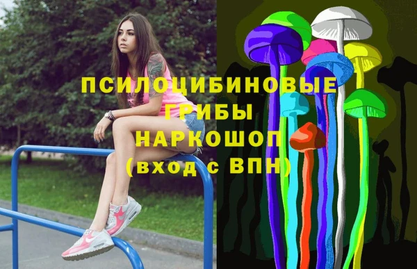 стаф Алзамай