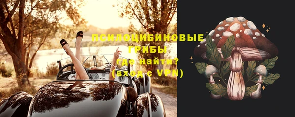 индика Алексин