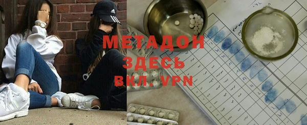стаф Алзамай