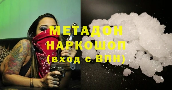 индика Алексин