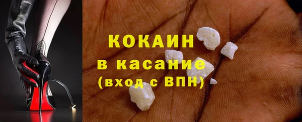 стаф Алзамай