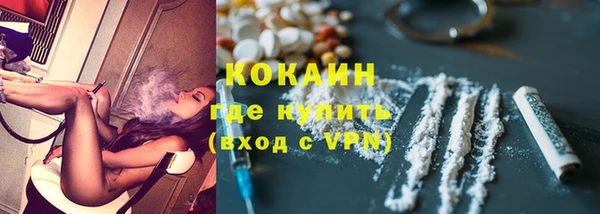 стаф Алзамай