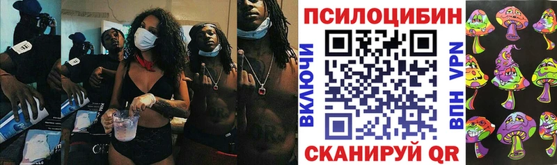 Псилоцибиновые грибы Magic Shrooms  наркота  Шадринск 