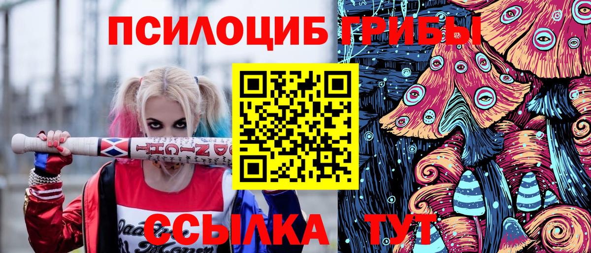 Псилоцибиновые грибы мицелий  Вход с VPN  Шадринск 