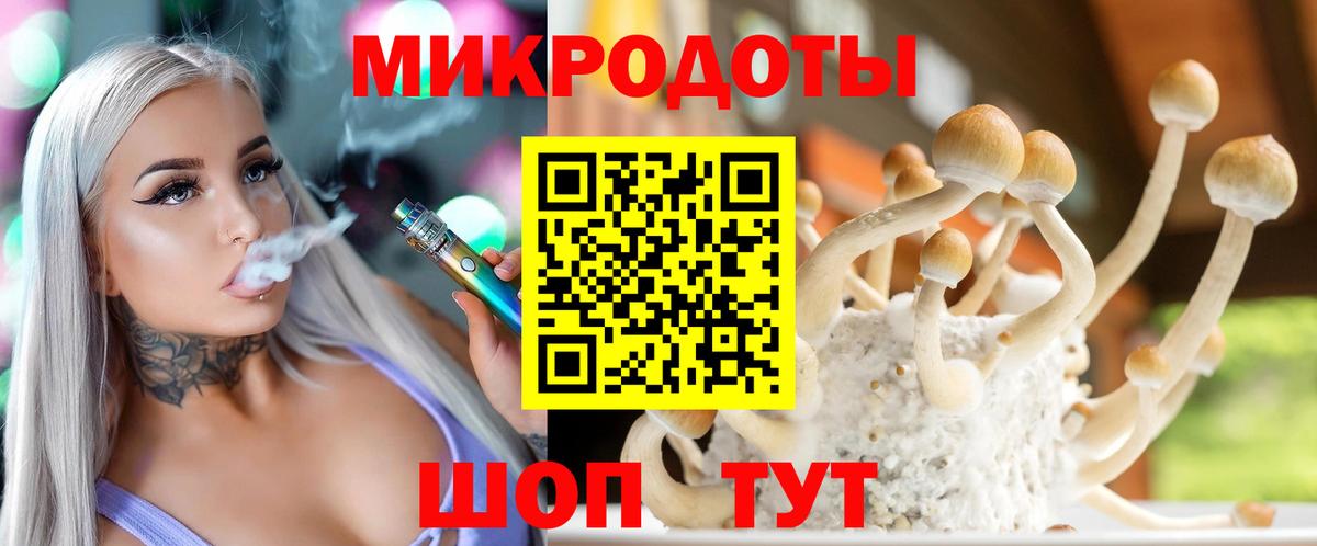 Галлюциногенные грибы Psilocybe Шадринск